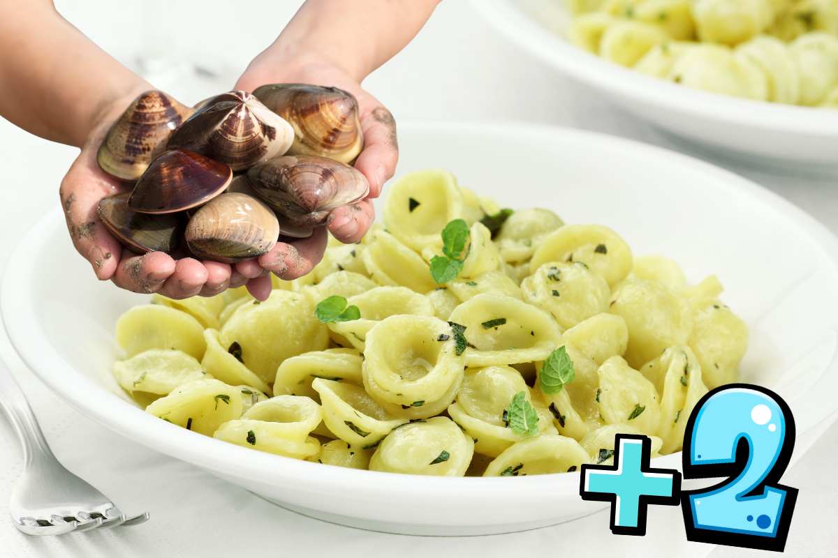 orecchiette e vongole